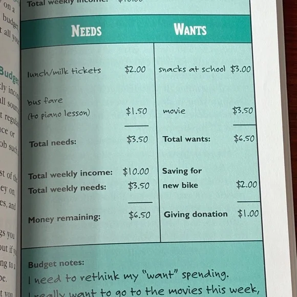 "The Kid's Guide to Money" by Steve - Picture 8 of 10